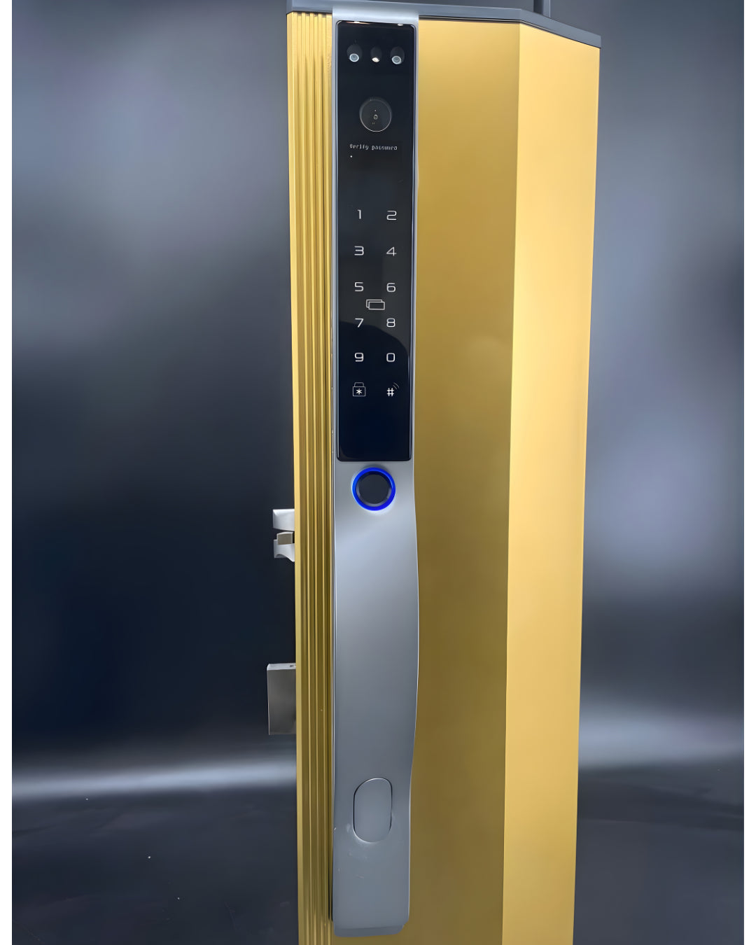 Serrure intelligente connectée D18 Grise Face ID Slim au Maroc avec installation gratuite à Casablanca, Rabat, Marrakech et Agadir.