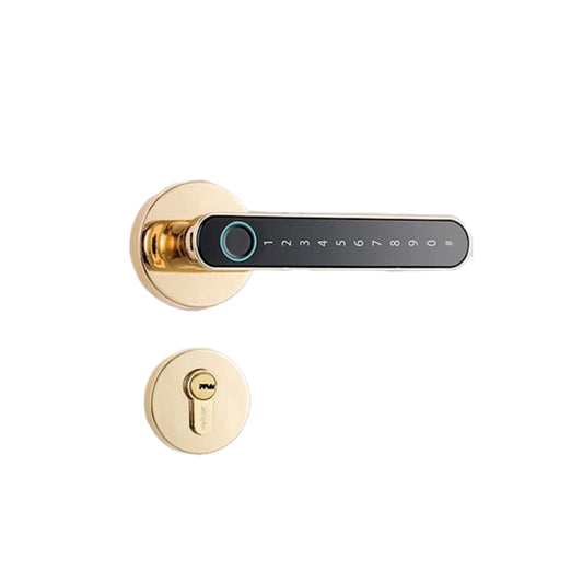 Serrure intelligente connectée H6S Gold au Maroc avec installation gratuite à Casablanca, Rabat, Marrakech et Agadir.