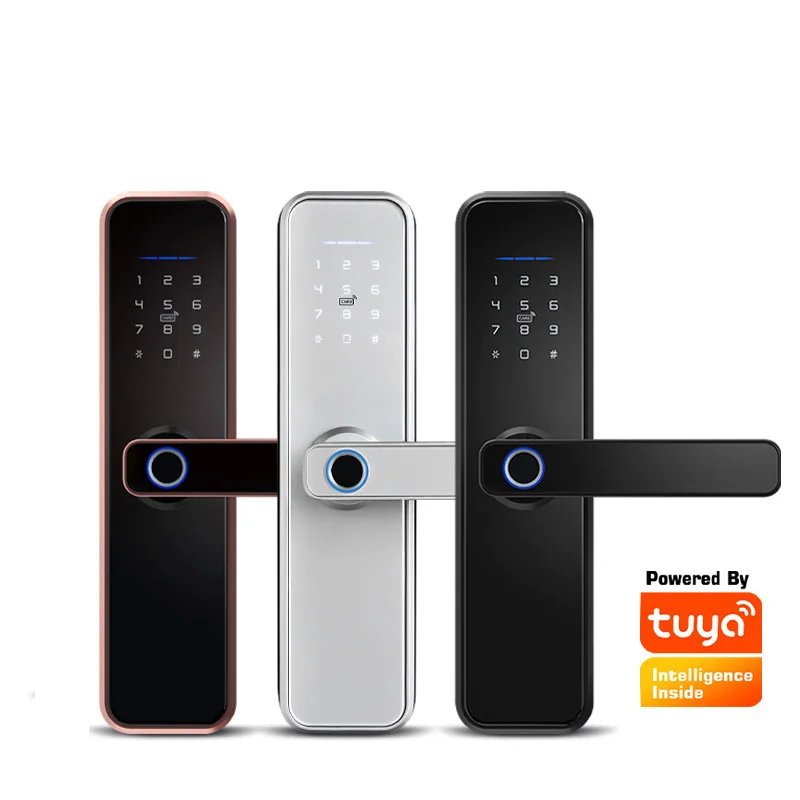 Serrure intelligente Wifi avec 5 options d'ouverture